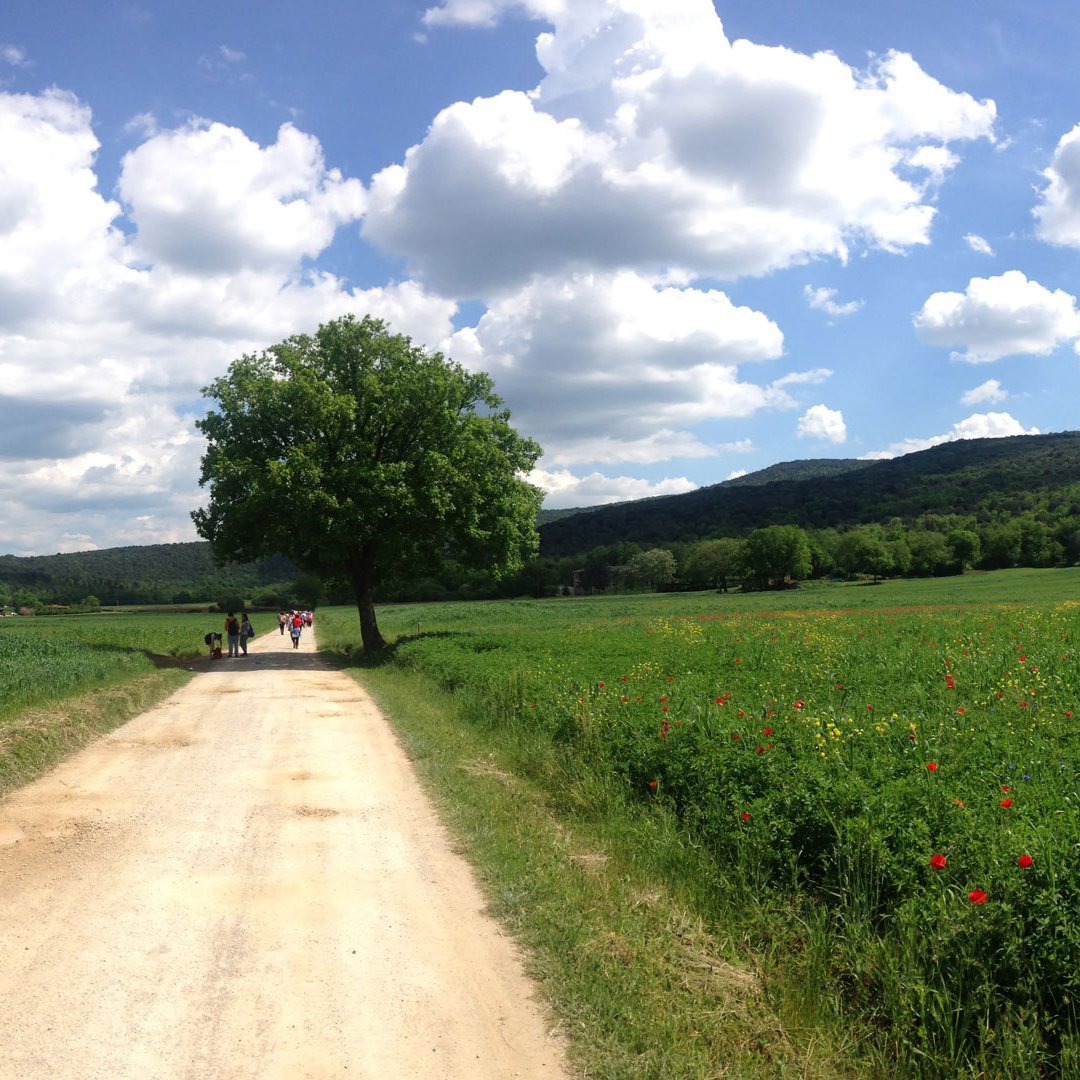 Trekking via Francigena