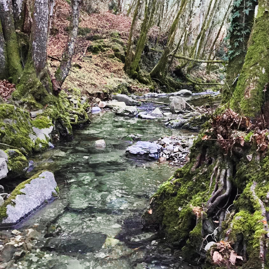 trekking chianti