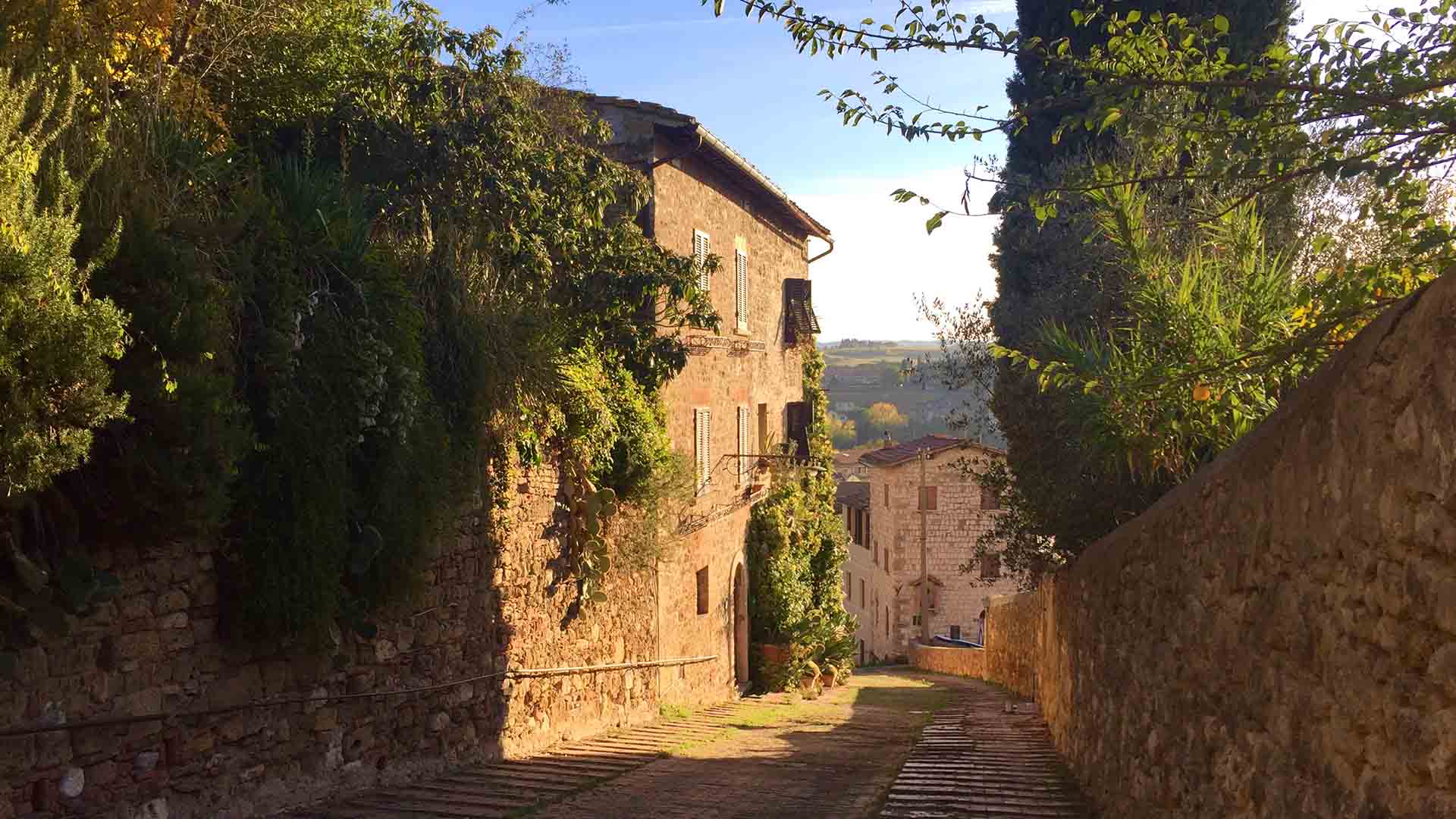 escursione colle val d'elsa