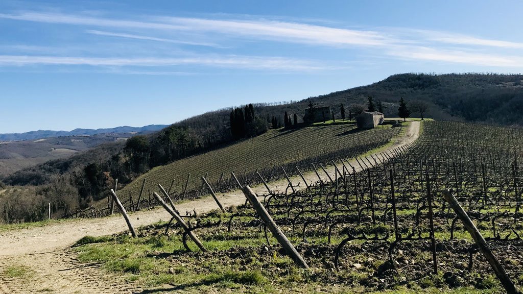 trekking a Fonterutoli