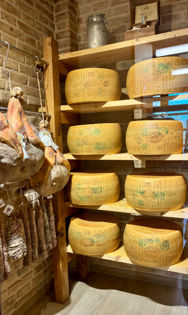 Nelle terre del Parmigiano 5