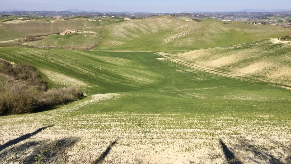 francigena 3