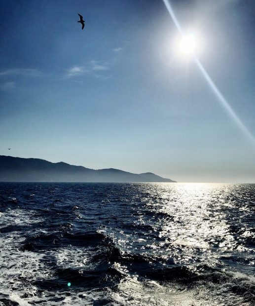 giglio_3