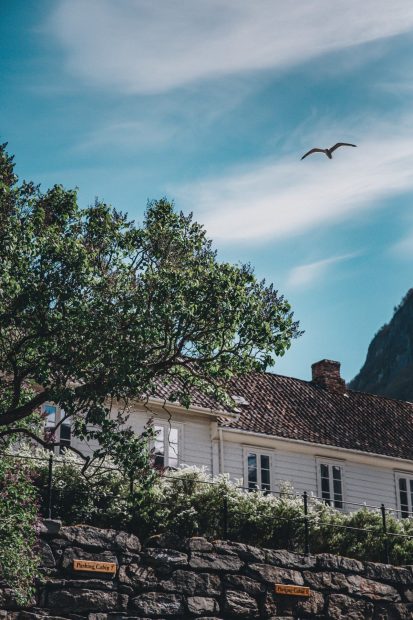 norvegia_4