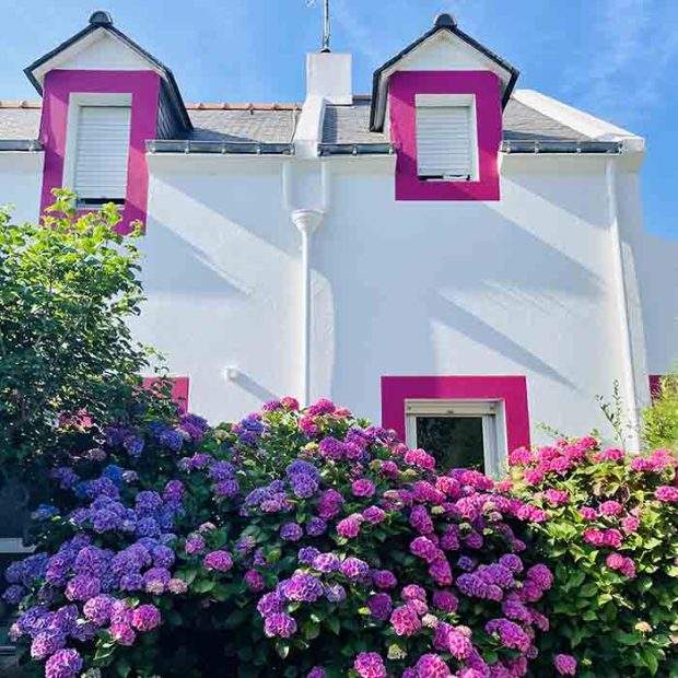 ortensie bretagna trekking